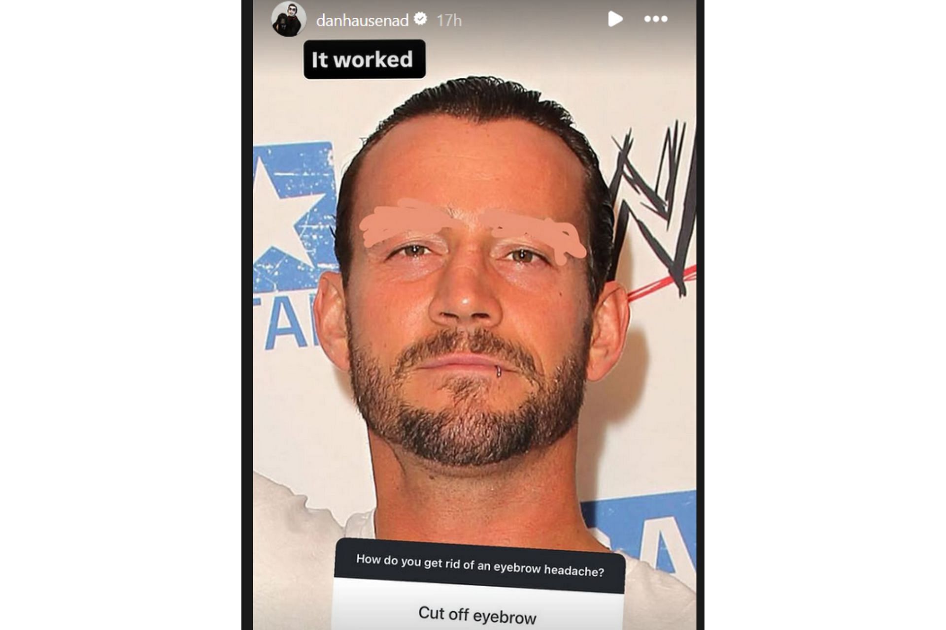 Danhausen shared Punk's edited picture on his Instagram Story